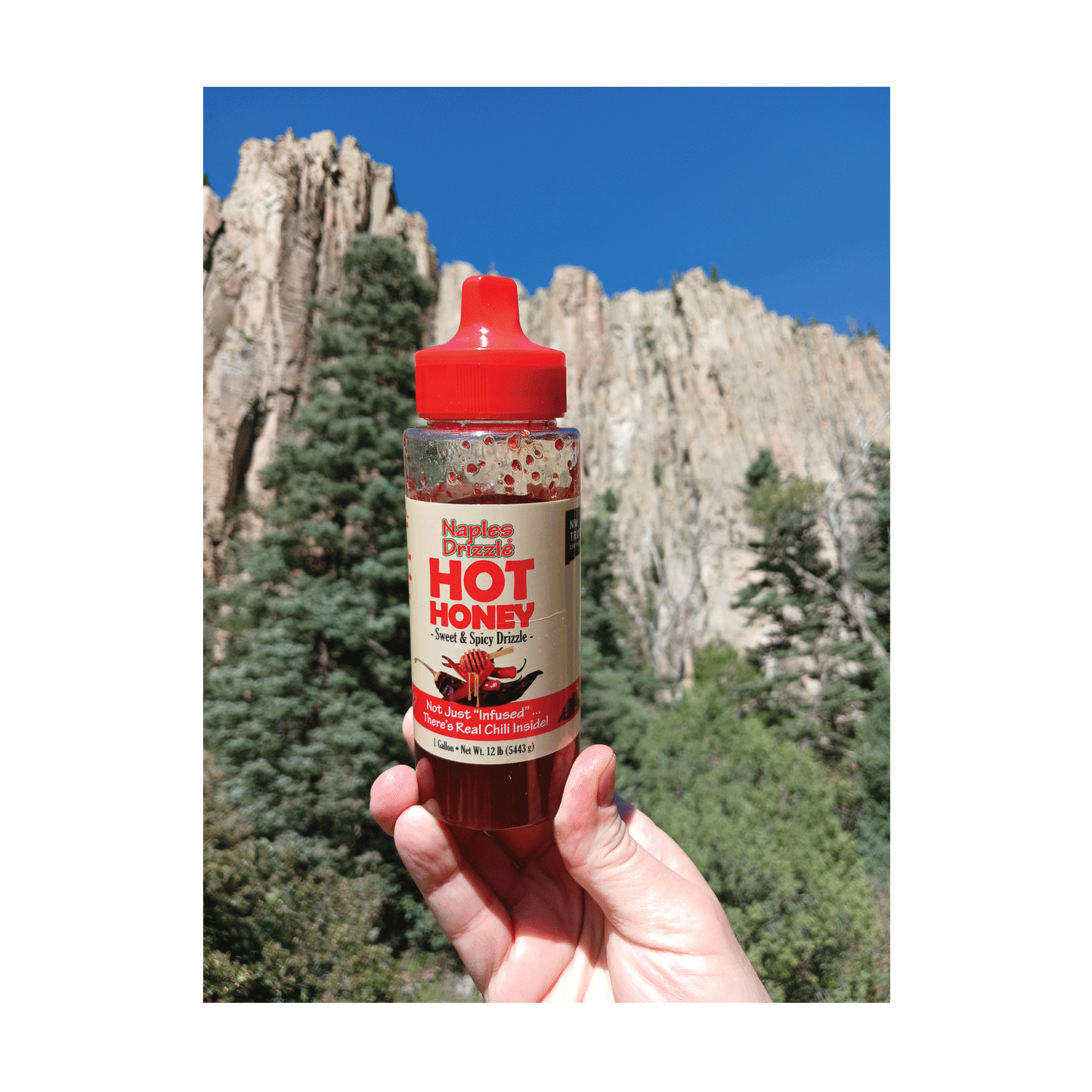 Hot Honey 12 oz